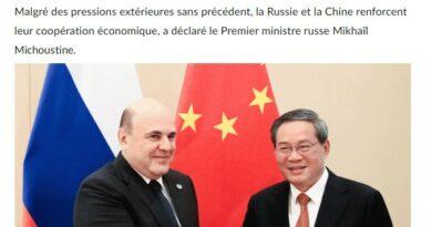 michoustine chine