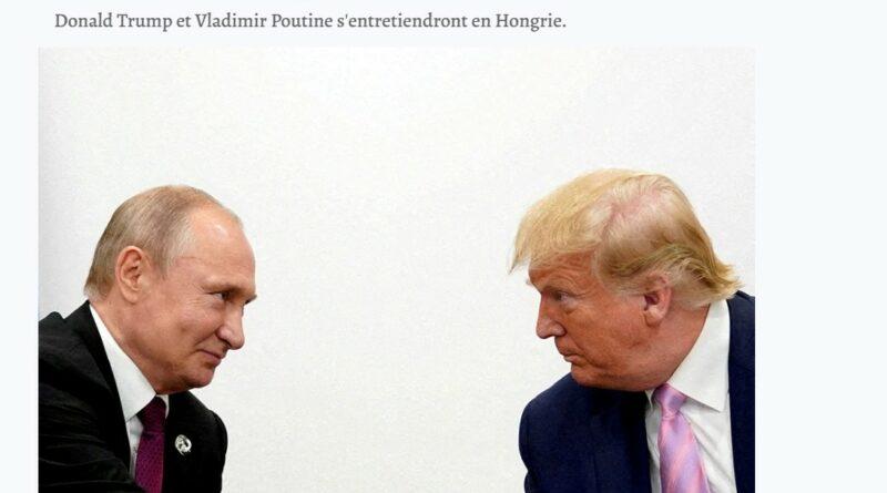 poutine trump