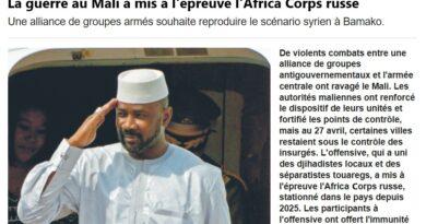 guerre mali