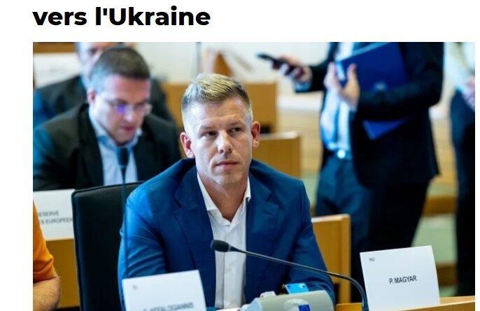 magyar or