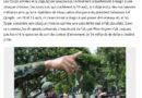 exercices taiwan